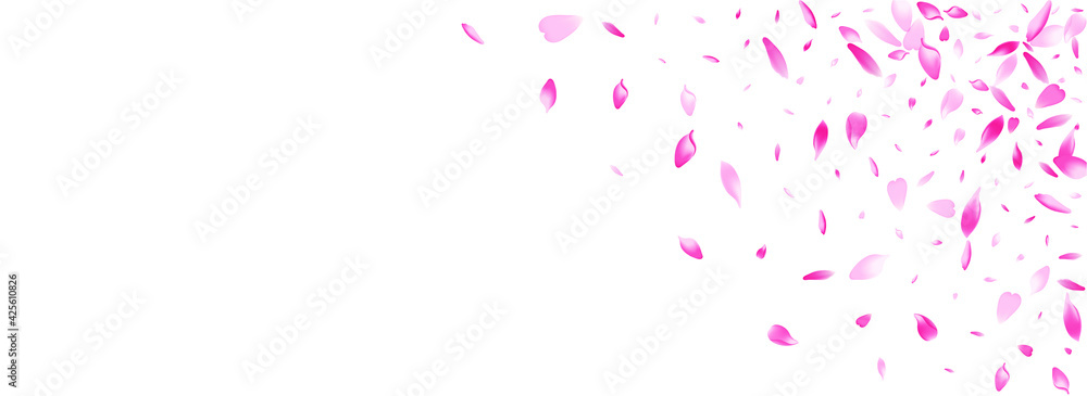 Pink Rose Petal Vector White Background. Color Romantic Lotus Petal Illustration. Peach Petal Japan Congratulation. Falling Apple Petal Template.