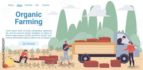 Vector cartoon flat farmer characters harvesting,people workers harvest vegetables,load them on truck-natural,organic farming,agriculture concept for web online landing page template,site design