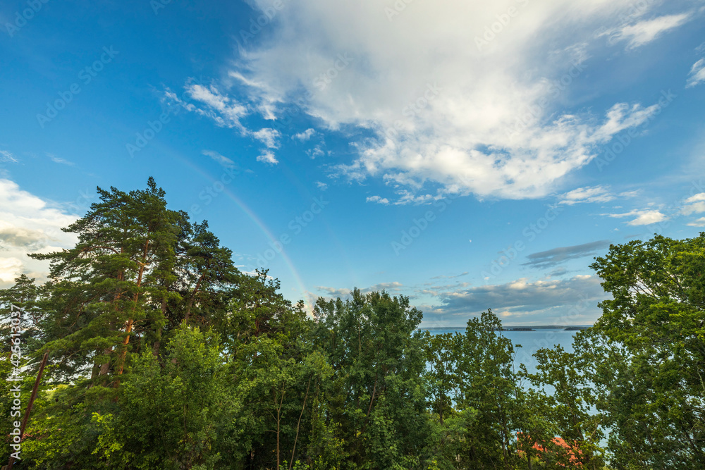 View of tops of green trees on blue sky with a rainbow after rain on background Baltic sea. Sweden.