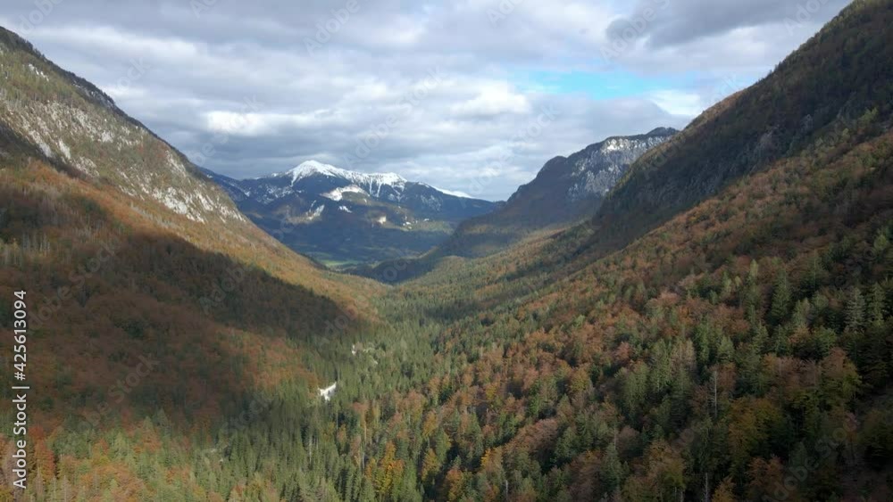 Aerial flying over green forest between mountains cloudy autumn day Aerial flying over green forest between mountains cloudy autumn day