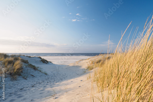Fototapeta Naklejka Na Ścianę i Meble -  Path to the beach and ocean at the baltic sea