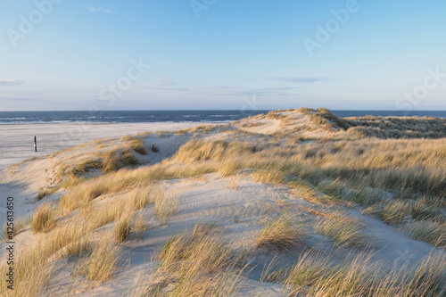 Dunes and beach. North sea © Philip