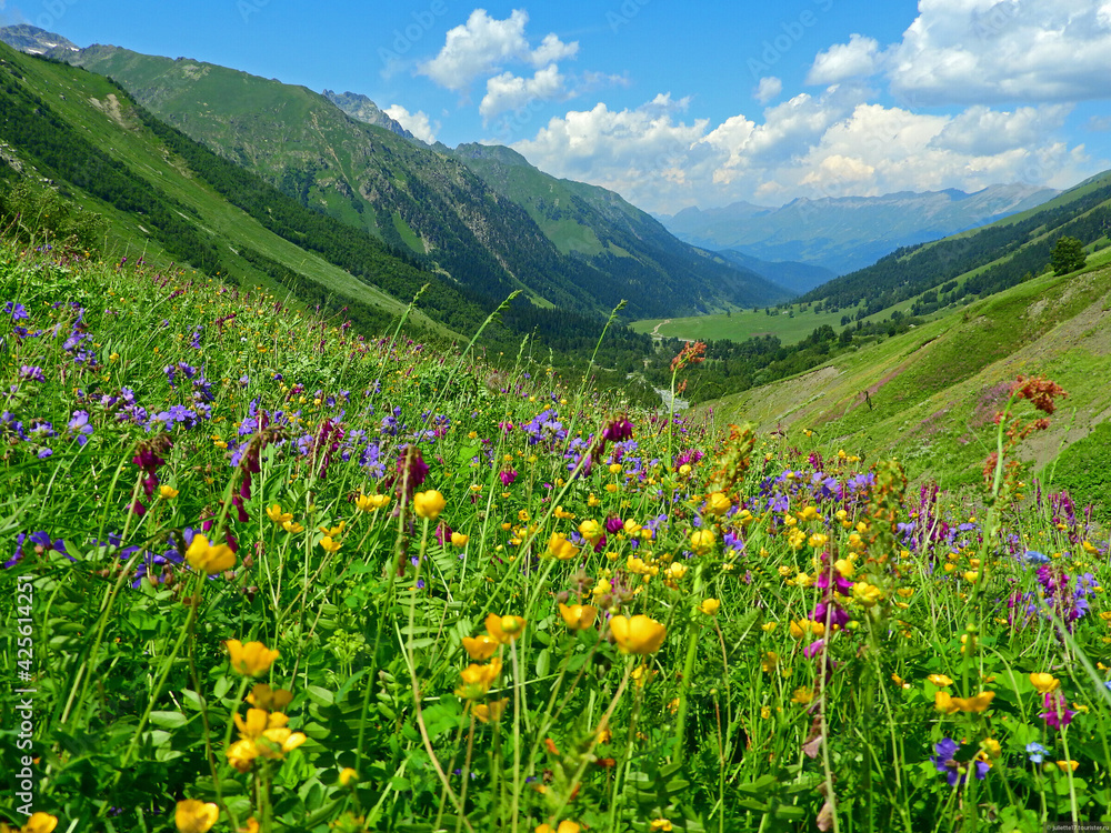 Fototapeta premium Arkhyz mountains nature and beauty of Russia