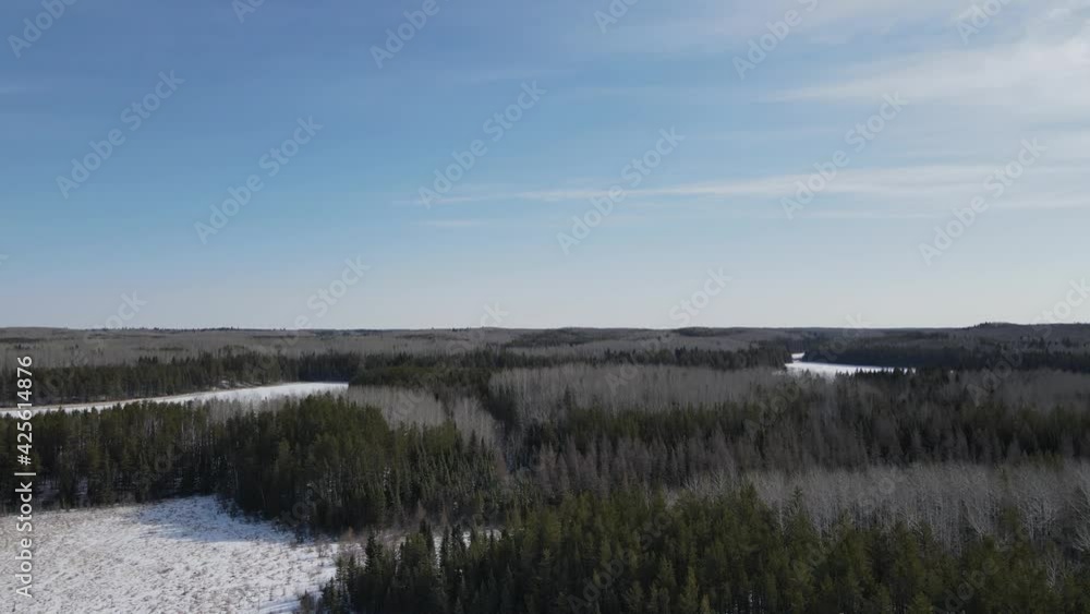 Drone flying slowly forward over a mixed boreal forest with aspen and spruce. Snow can be seen on the ground and on the frozen lakes.
Drone flying slowly forward over a mixed boreal forest with aspen and spruce. Snow can be seen on the ground and on the frozen lakes.