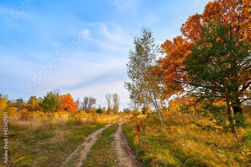 Autumn landscape. Beautiful sunny autumn day. Golden woods and blue sky.