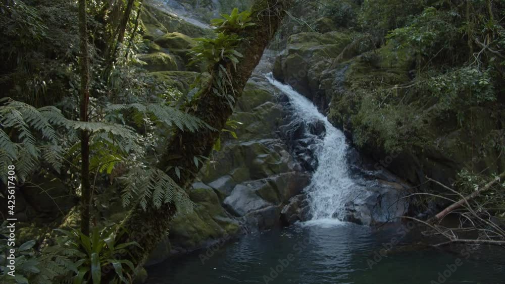 Pequena cachoeira com lago dentro da Mata Atlântica / Small waterfall with lake inside the Atlantic Forest