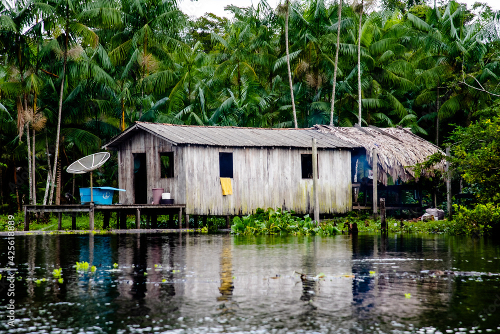 Palafitas típica com floresta de Açaí da região Amazônica. Stock Photo ...