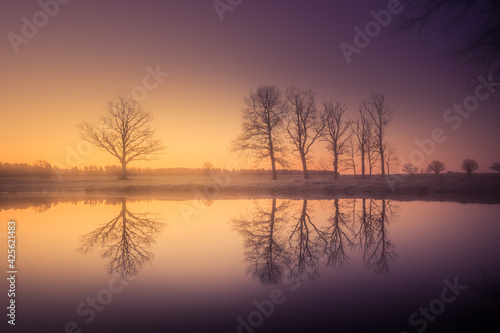 A beautiful landscape of a forest lake behing the trees. Spring scenery in the woodlands of Northern Europe. Forest lake with trees.