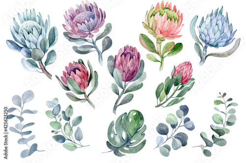 watercolor seamless pattern of exotic plants and portea flowers