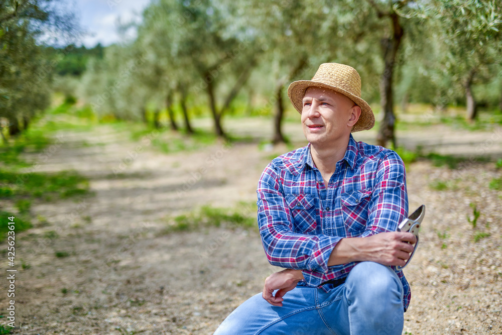 Man farmer with straw hat inspects olive plantation.