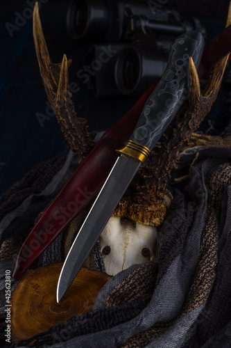 Handmade hunting knife made of Damascus steel lies on the horns photo