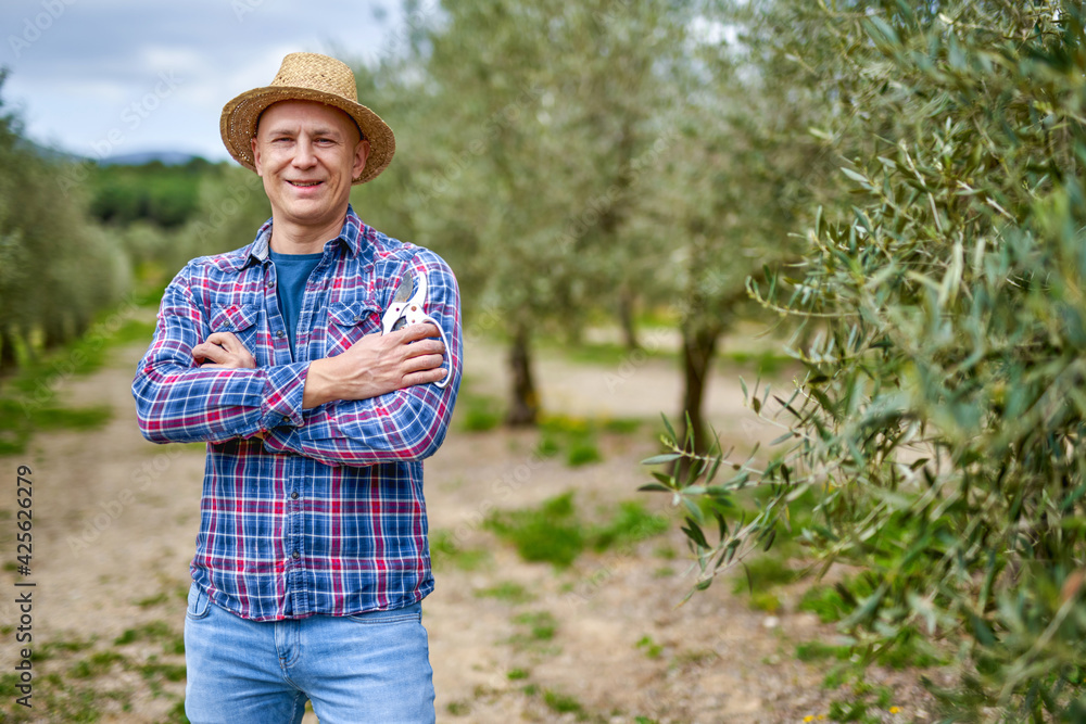 Man farmer with straw hat at olive plantation.