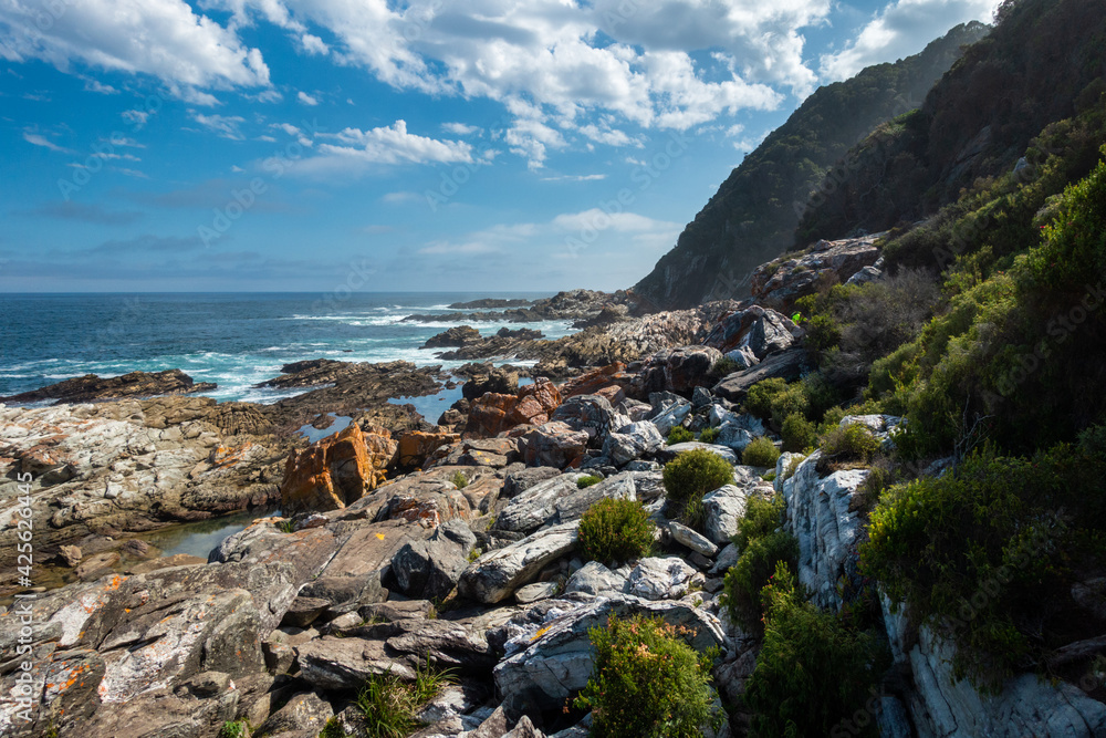 Rocky coastline at the Tsitsikamma National Park, South Africa