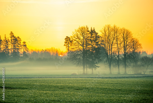 A beautiful springtime dawn landscape before the sunrise. Soft, diffused light over the rural scenery during spring. Misty landscape of Northern Europe.