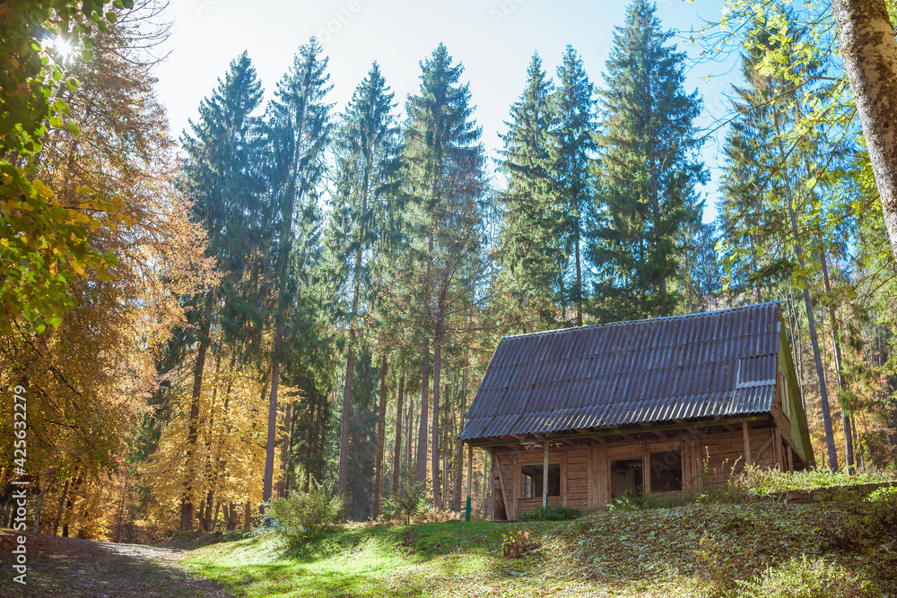 Old wooden house in beautiful forest in autumn. Amazing landscape with house on forest glade, colorful trees. Sunny warm fall in Ukraine. Old wooden house in beautiful forest in autumn. Amazing landscape with house on forest glade, colorful trees. Sunny warm fall in Ukraine.