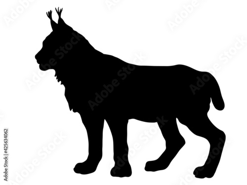 forest lynx vector-isolated images on a white background in a low-poly style, amber color