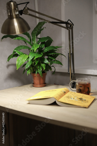 a book and a cup of tea are on the desk with the house plant