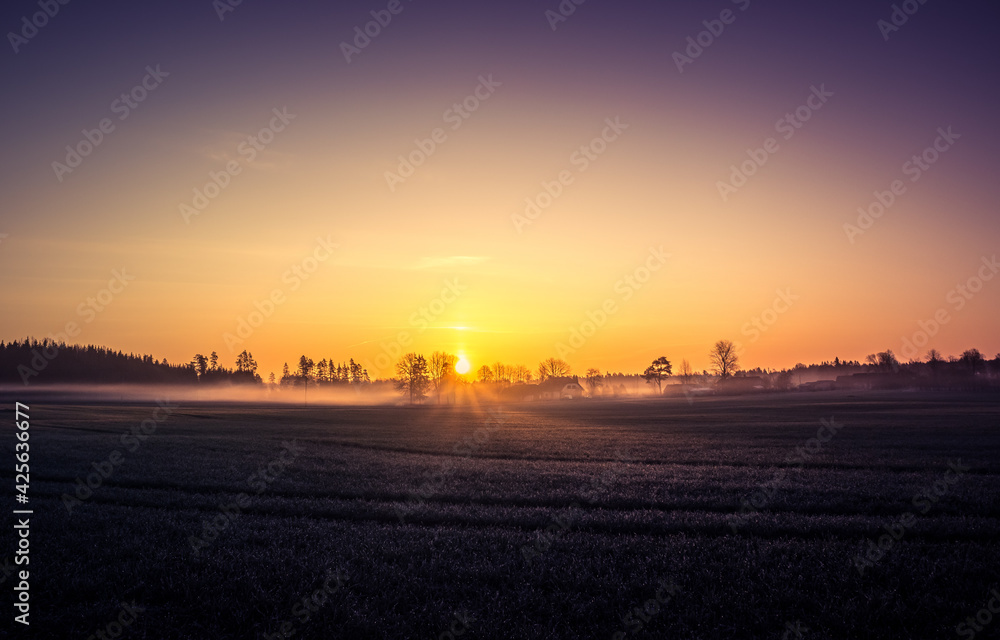 A beautiful misty morning over the spring fields. Sunrise with fog on grain fields.