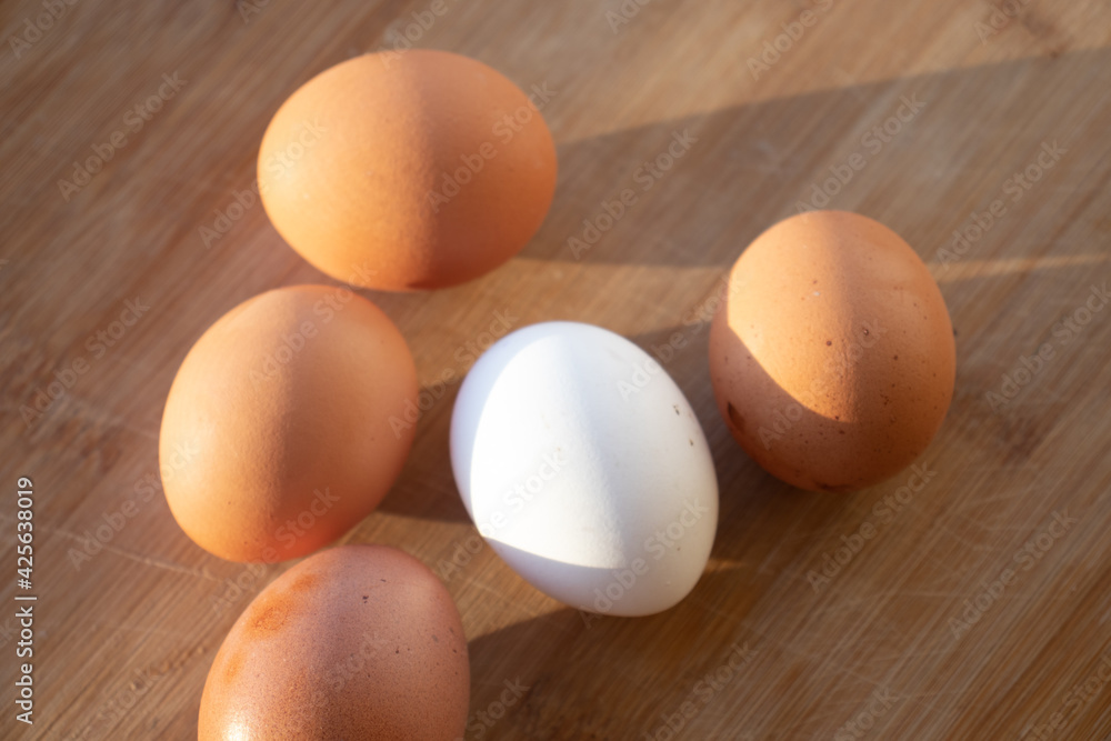 fresh eggs. Chicken eggs on the table. White chicken egg among the yellow ones fresh eggs. Chicken eggs on the table. White chicken egg among the yellow ones