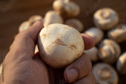 Podobny obraz