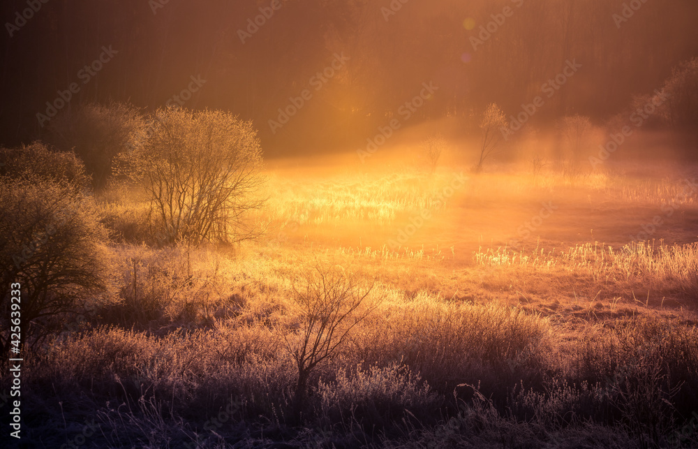 A beautiful diffused light during the spring sunrise. Trees in spring with warm sun light in morning. Rural springtime scenery of Northern Europe.