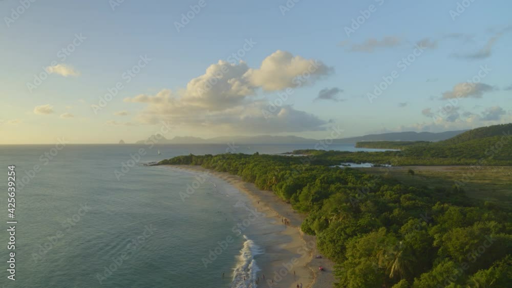 Aerial of green trees along beautiful sea coast Aerial of green trees along beautiful sea coast