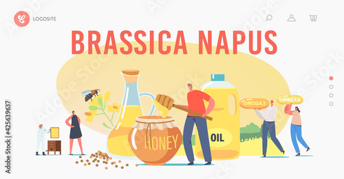 Brassica Napus Landing Page Template. Characters Extracting Rapeseed Canola Oil and Honey. Apiary Production