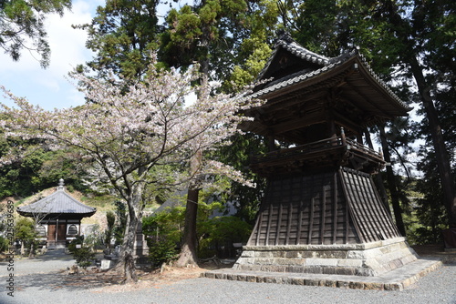 A scene of the precincts of a Japanese temple,'Honkoji temple' in Kosai City, Shizuoka Prefecture.