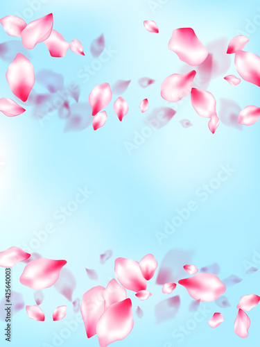 Spring tree flowers parts, airy flying petals