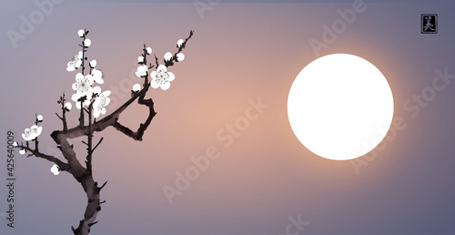 Blossoming branch of oriental sakura cherry and the moon in night sky. Traditional Japanese ink wash painting sumi-e. Translation of hieroglyph - beauty.