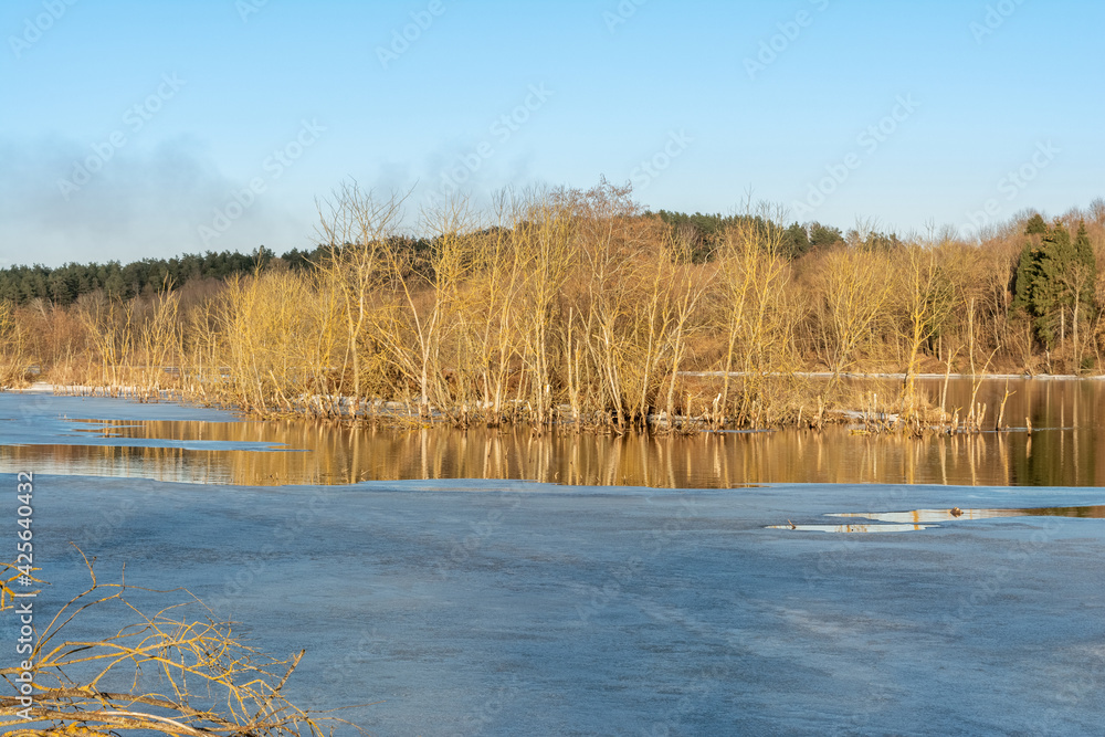 Spring melting of ice and snow on the river on a sunny evening. Trees and shrubs are flooded areas. Landscape of spring nature on the river flood