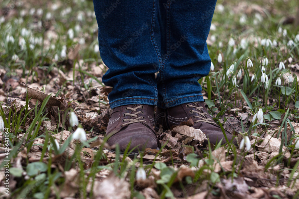 An adult man in leather shoes and jeans stands among a lawn with white snowdrops. Man in the forest among the first spring flowers An adult man in leather shoes and jeans stands among a lawn with white snowdrops. Man in the forest among the first spring flowers