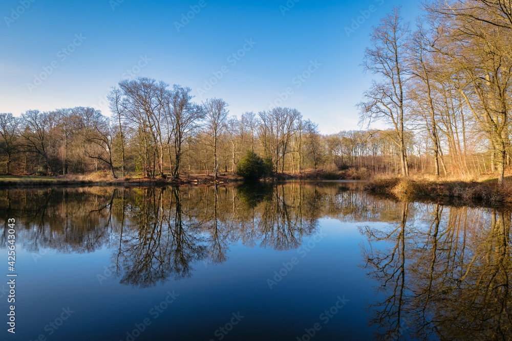 Large pond at the natural reserve Springendal, an erosion valley in the moraine of Ootmarsum (Twente) also known as The garden of the Netherlands. It's near the village Ootmarsum and German border