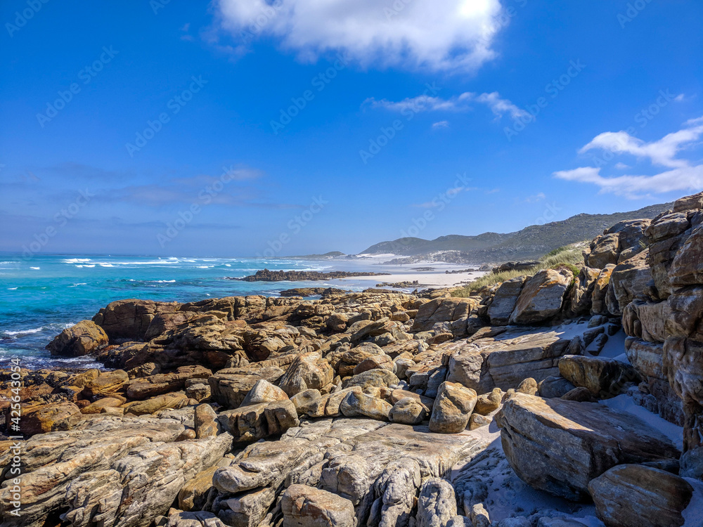 Platboom Beach, Cape Peninsula, South Africa