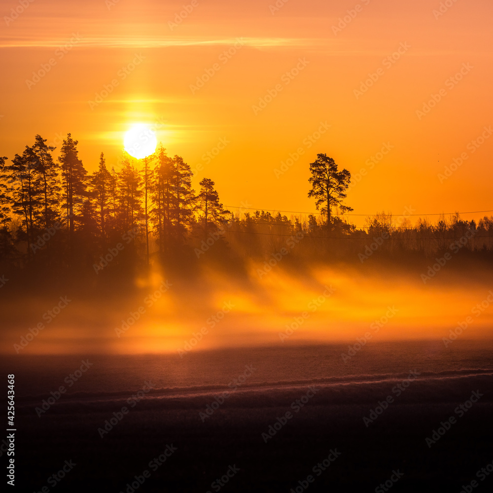 A beautiful spring landscape with rising sun through the mist. Sun shining over misty rural landscape. Springtime scenery of Northern Europe with sunrise. A beautiful spring landscape with rising sun through the mist. Sun shining over misty rural landscape. Springtime scenery of Northern Europe with sunrise.