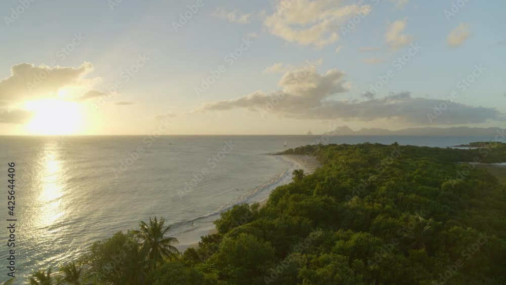 Aerial of dense forest near beautiful sea coast at sunset Aerial of dense forest near beautiful sea coast at sunset