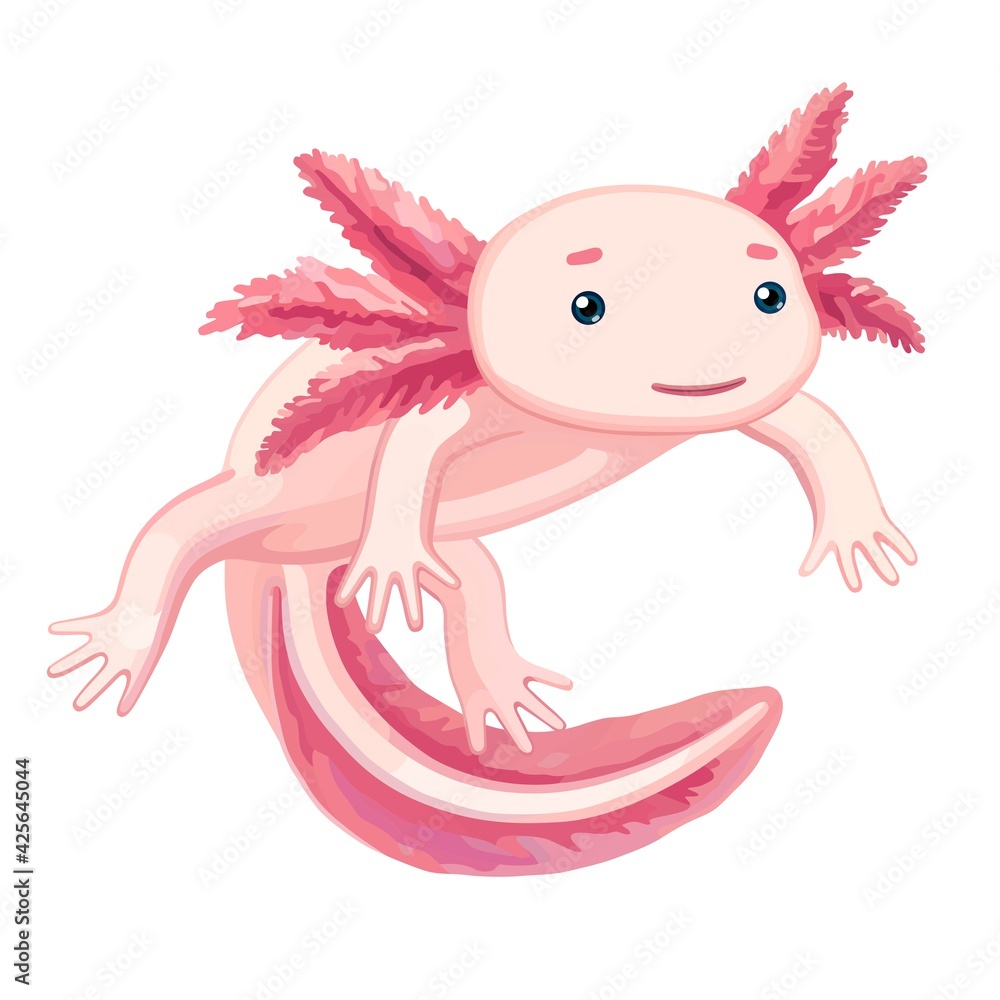 Pink axolotl on white background ilustración de Stock | Adobe Stock