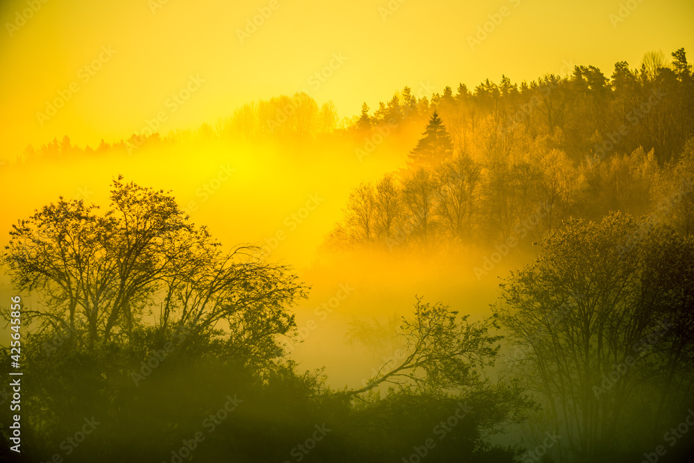 A beautiful misty morning in the river valley. A springtime sunrise with fog at the banks of the river over trees. Spring landscape in Northern Europe with mist and trees.