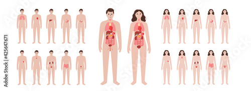 Pain in human body