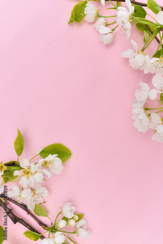 Naklejka premium Background with colorful flower ideal for social media post etc.