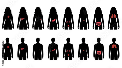 Pain in human body