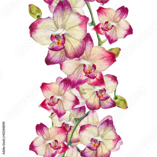 Seamless border with watercolor orchids isolated on white