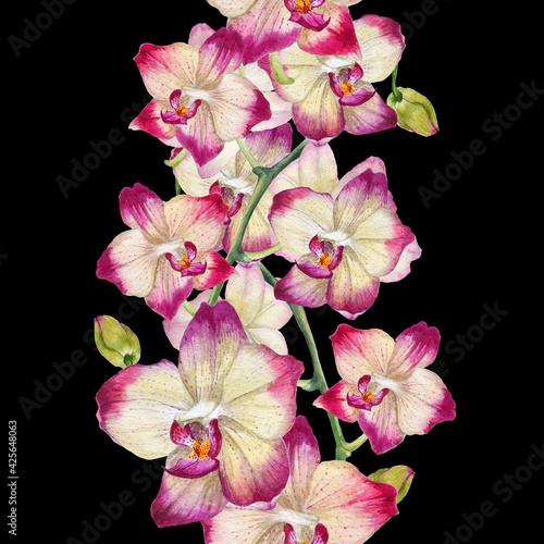 Pink orchid on black. Seamless border. Watercolor botanical illustration