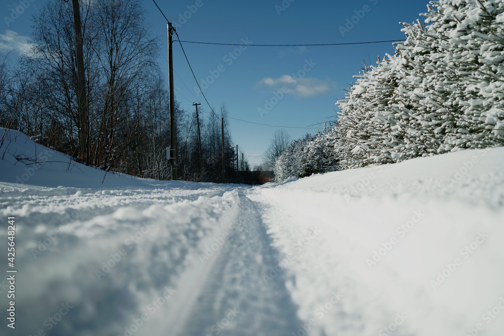 Winter day outside the city. Large snowdrifts in the cold season. Snow road in the forest. Sunny day in cold weather.