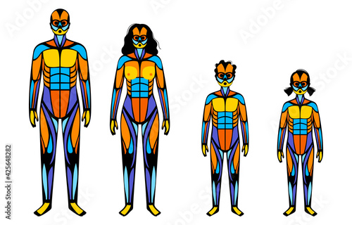 Human muscular system