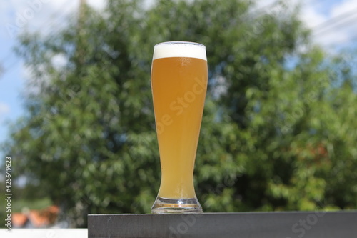 German Weiss Beer