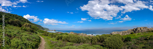 Panorama of the rocky coastline at the Tsitsikamma National Park, South Africa