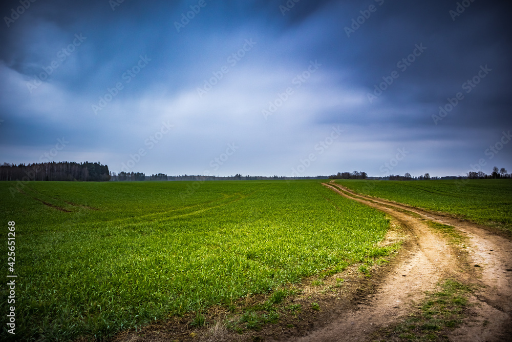A beautiful overcast spring morning no Northern europe. Springtime landscape with trees. Soft, diffused light over the rural landscape.