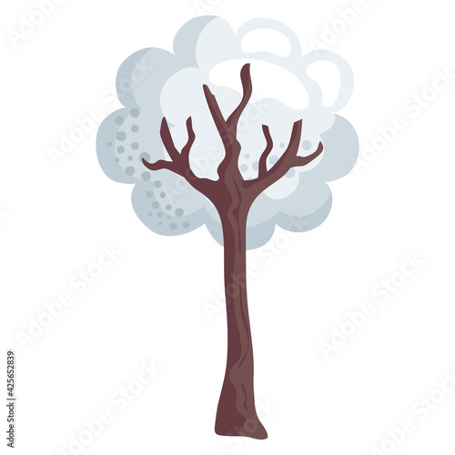 winter tree white
