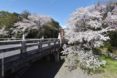 滋賀県護国神社 参道入口の橋 滋賀県彦根市